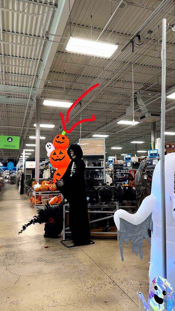 kylaayese image ~ Altpins