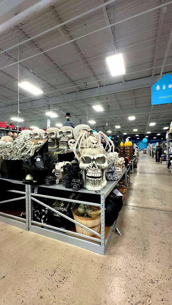 kylaayese image ~ Altpins