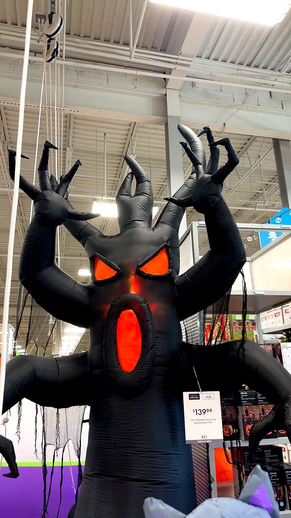 kylaayese image ~ Altpins