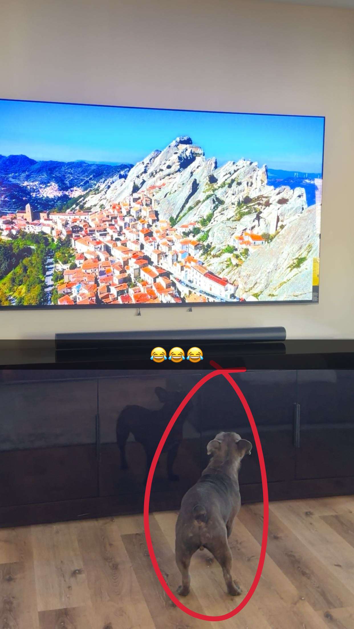 kylaayese snapchat image archive image