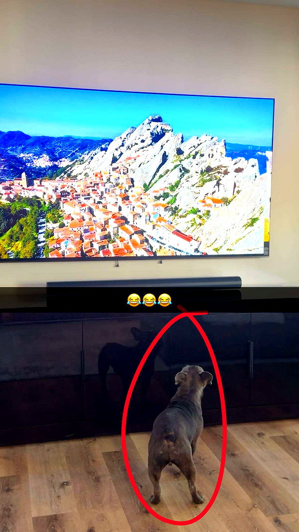 kylaayese image ~ Altpins