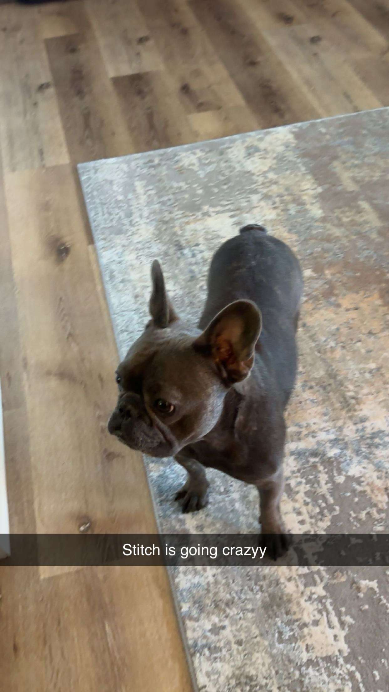 kylaayese snapchat image archive image