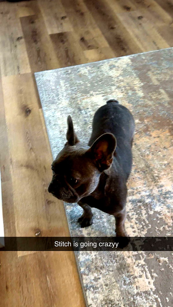 kylaayese image ~ Altpins