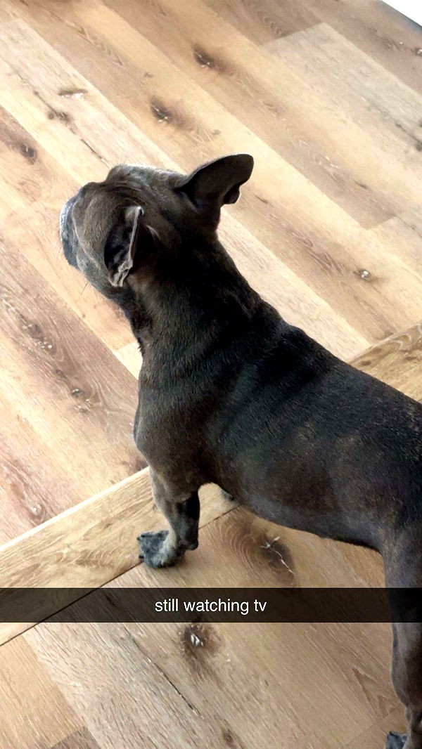 kylaayese image ~ Altpins