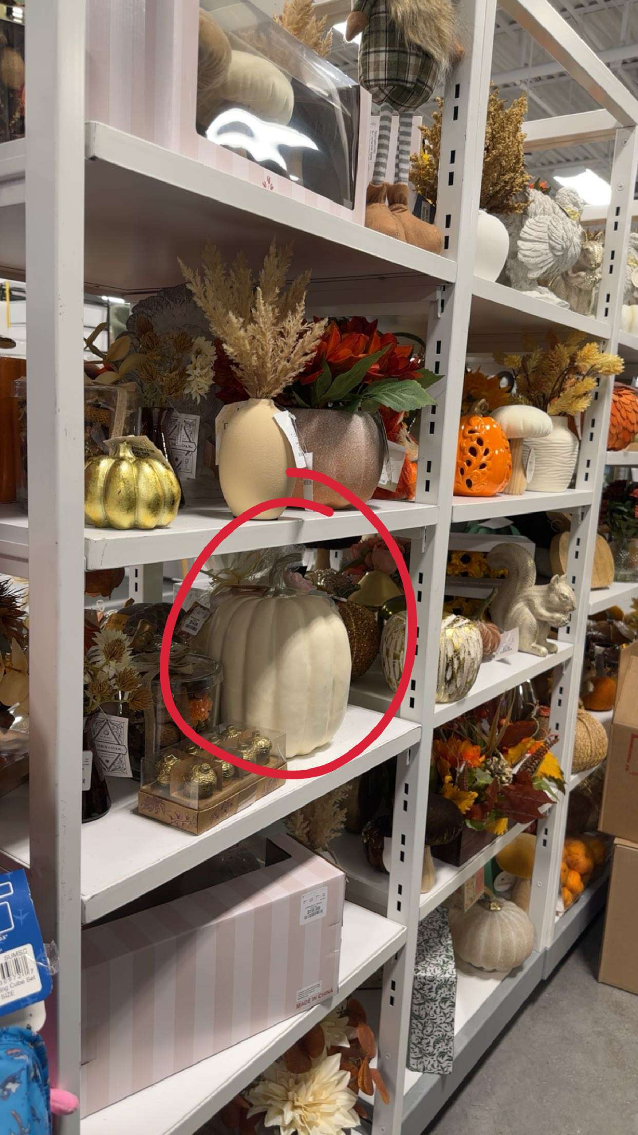 kylaayese snapchat image archive image