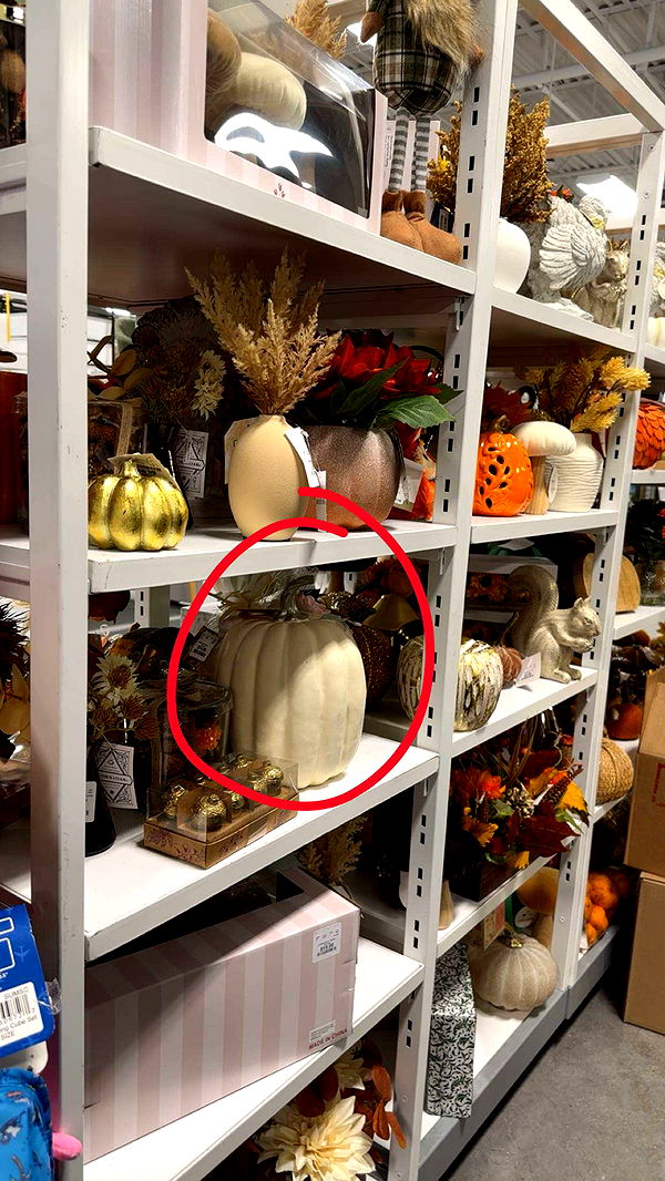 kylaayese image ~ Altpins