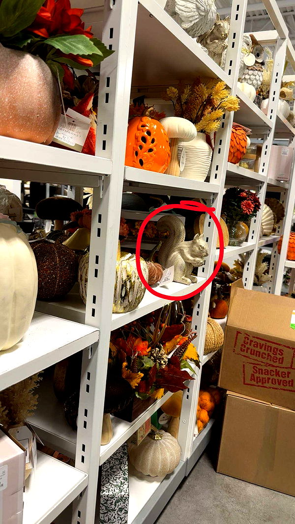 kylaayese image ~ Altpins