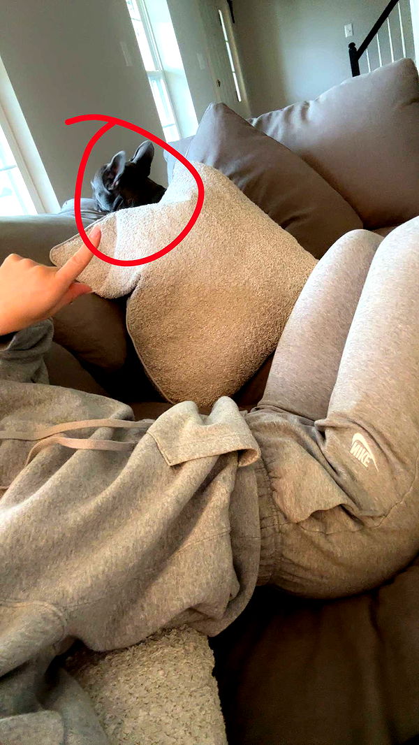 kylaayese image ~ Altpins