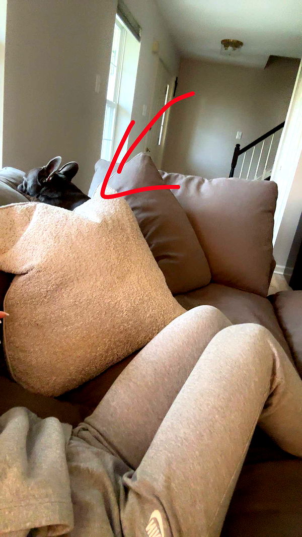 kylaayese image ~ Altpins