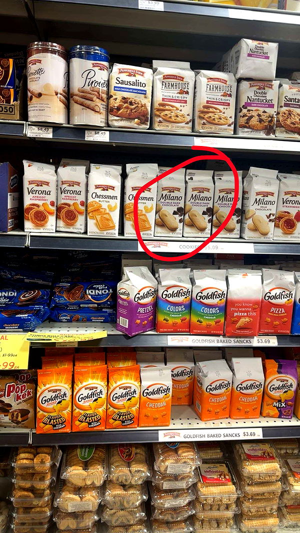 kylaayese image ~ Altpins