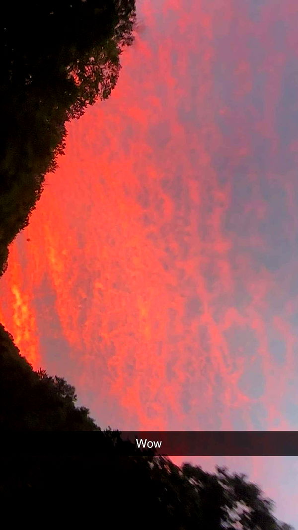 kylaayese image ~ Altpins