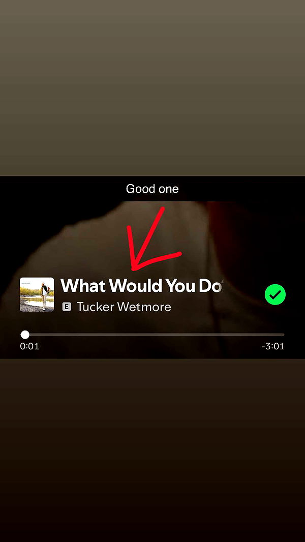 kylaayese image ~ Altpins