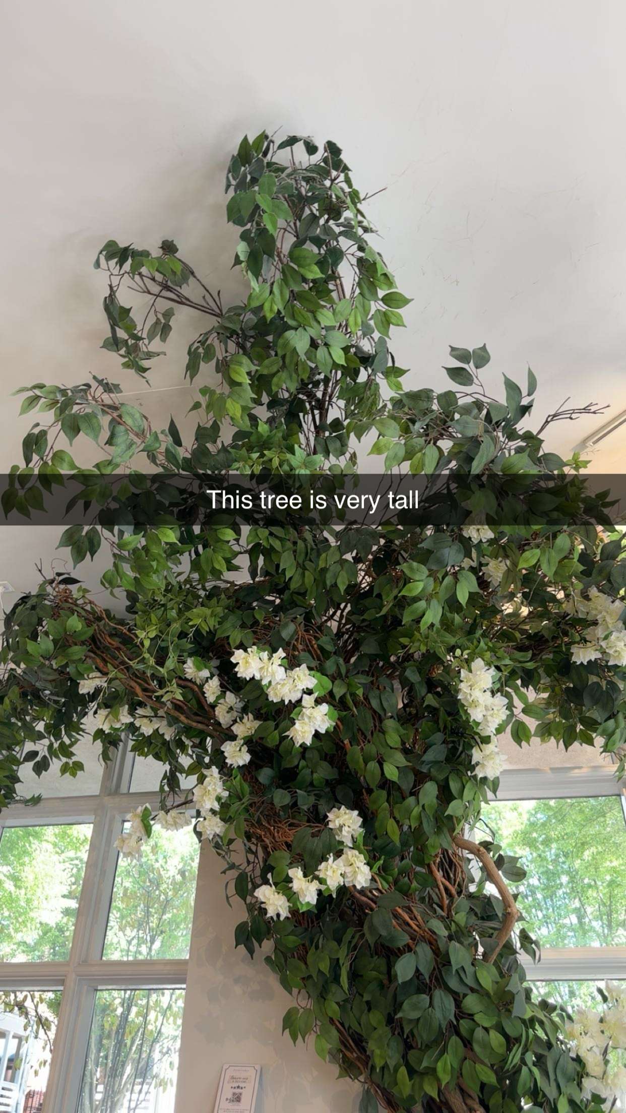 kylaayese snapchat image archive image