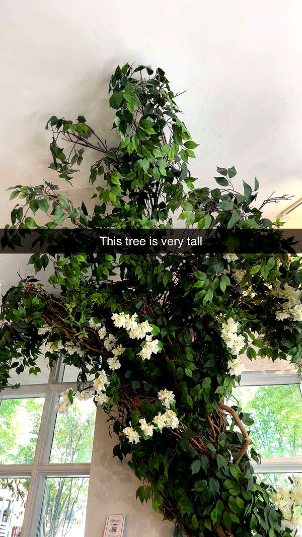 kylaayese image ~ Altpins