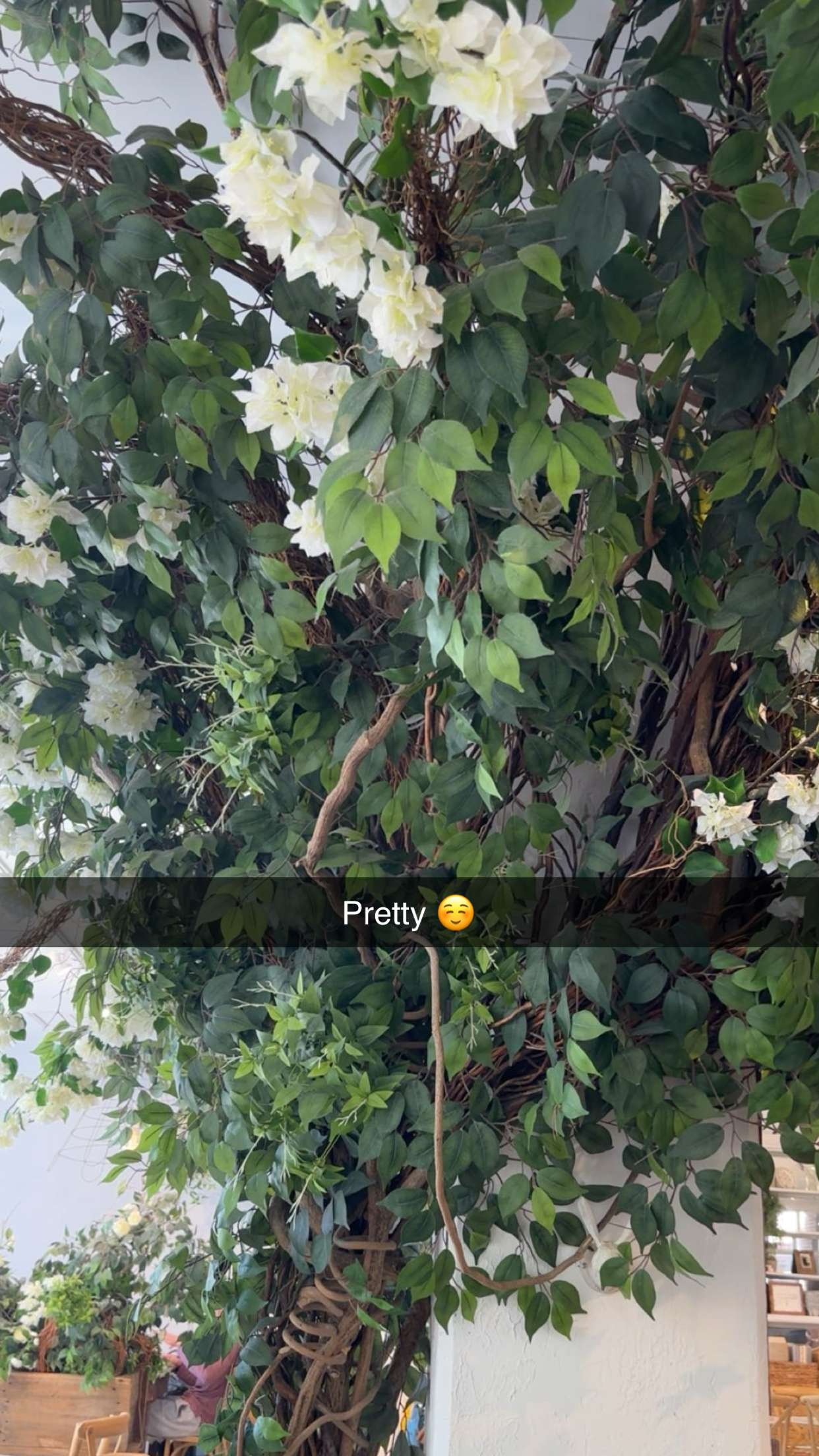 kylaayese snapchat image archive image