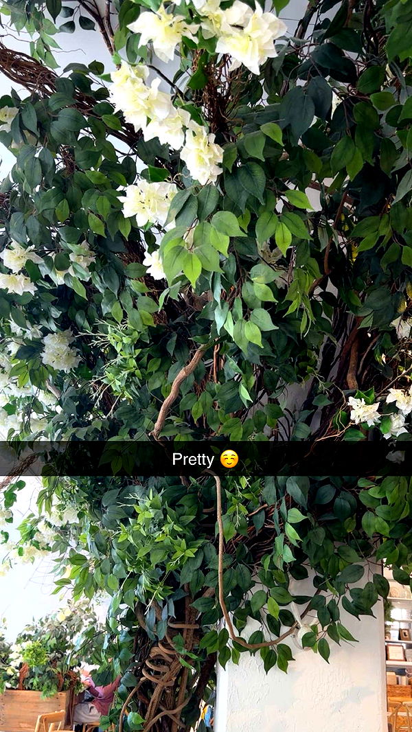 kylaayese image ~ Altpins