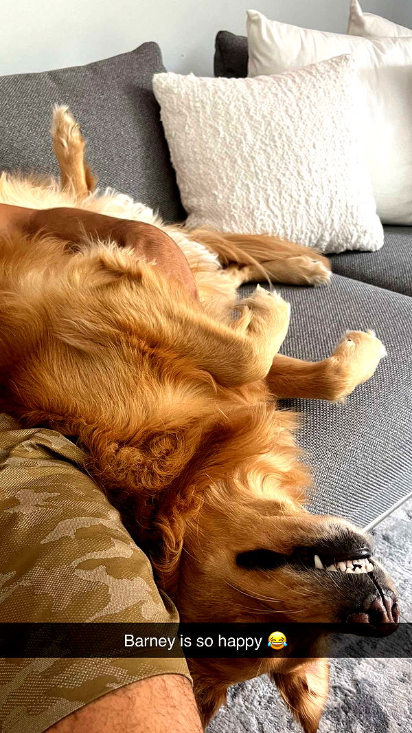 kylaayese image ~ Altpins