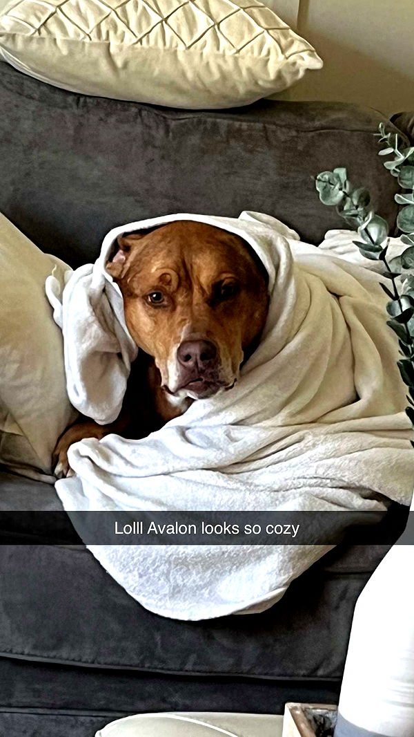 kylaayese image ~ Altpins