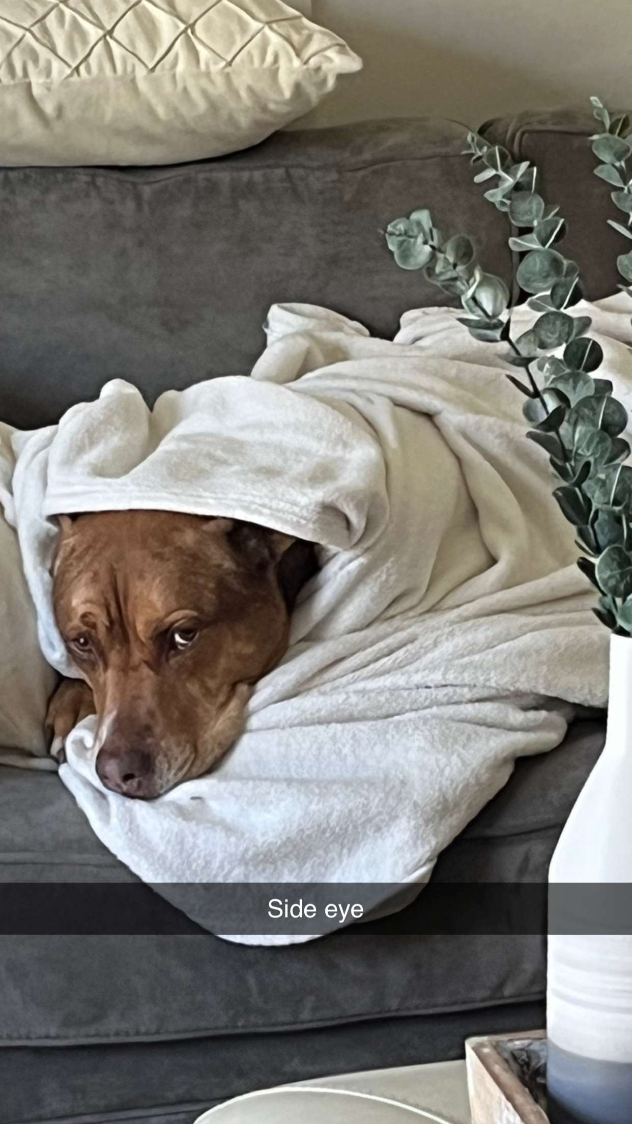 kylaayese snapchat image archive image