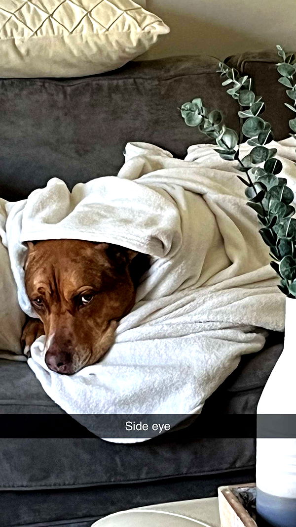 kylaayese image ~ Altpins