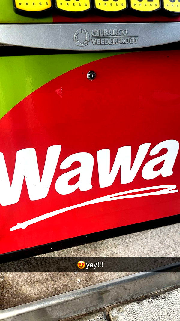 kylaayese image ~ Altpins