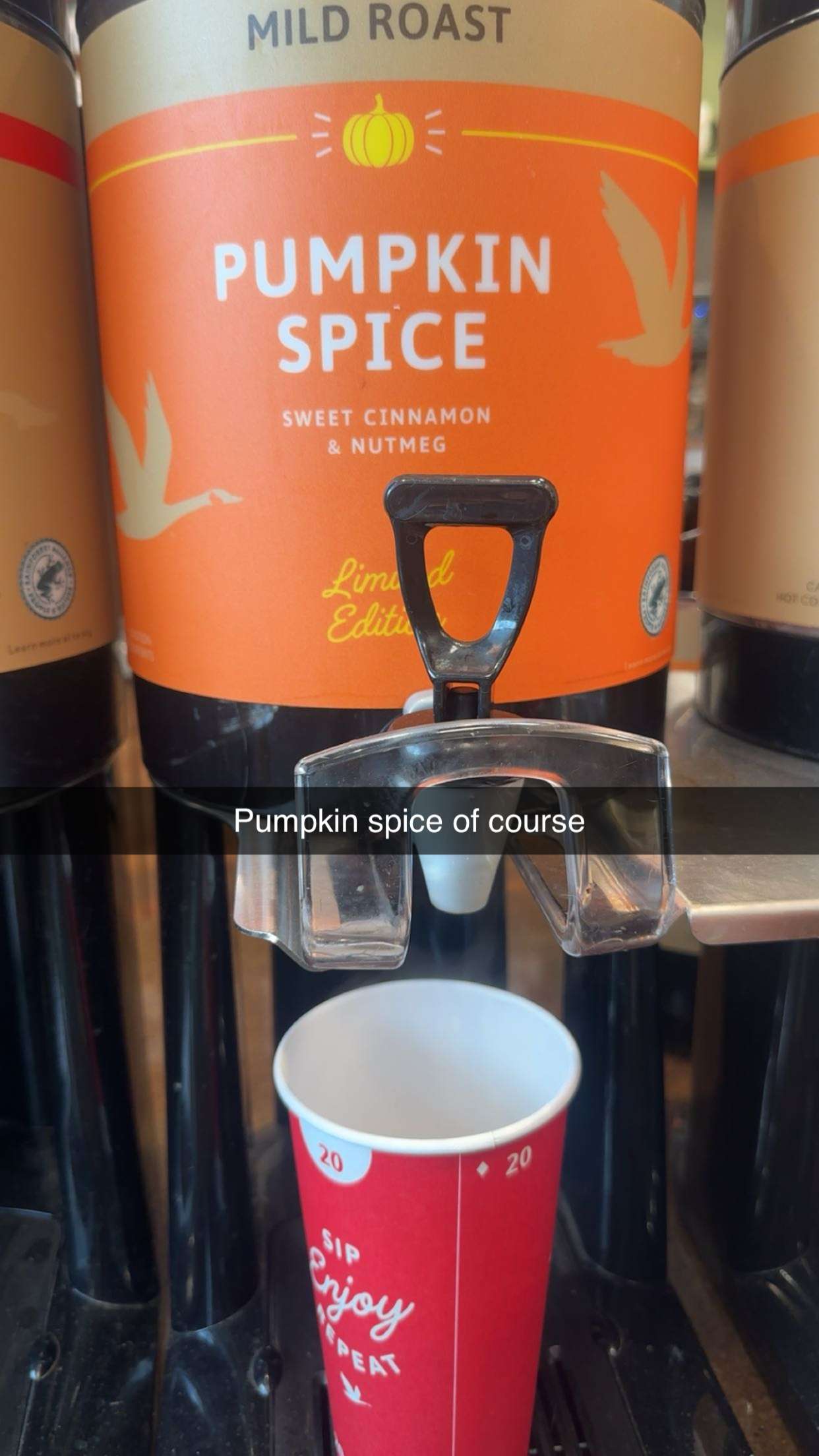 kylaayese snapchat image archive image