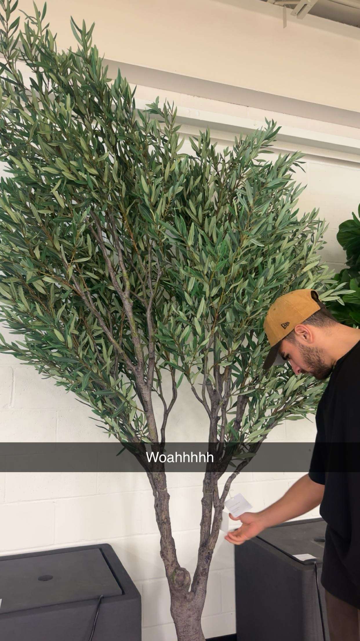 kylaayese snapchat image archive image