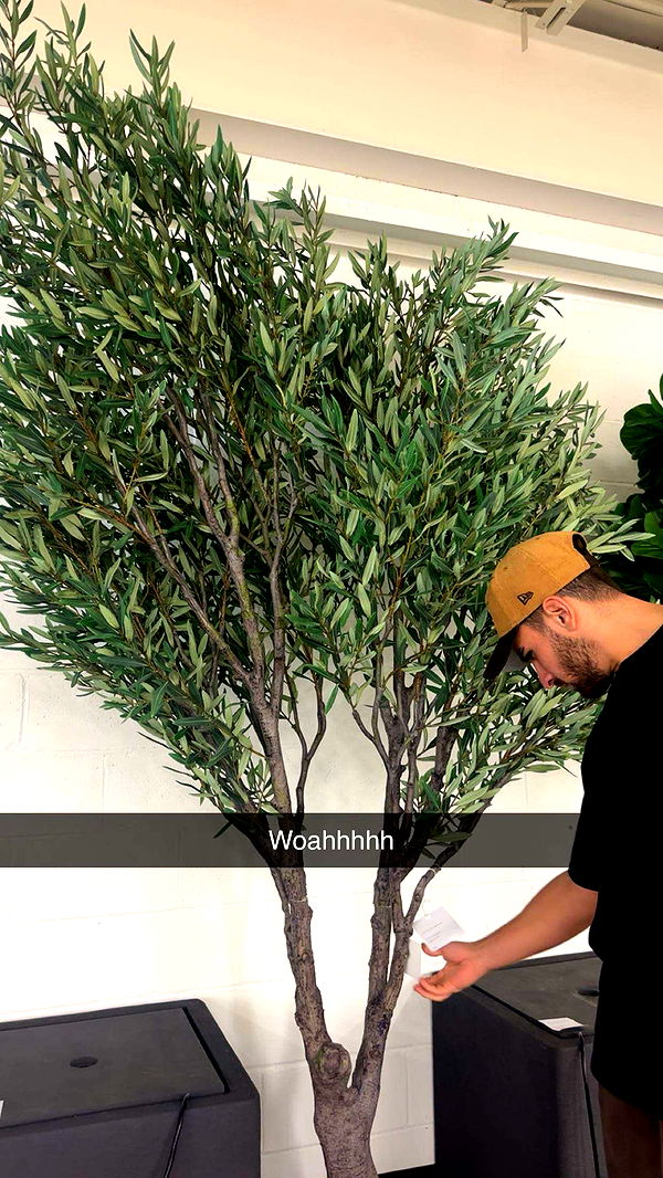 kylaayese image ~ Altpins