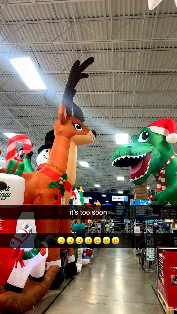 kylaayese image ~ Altpins