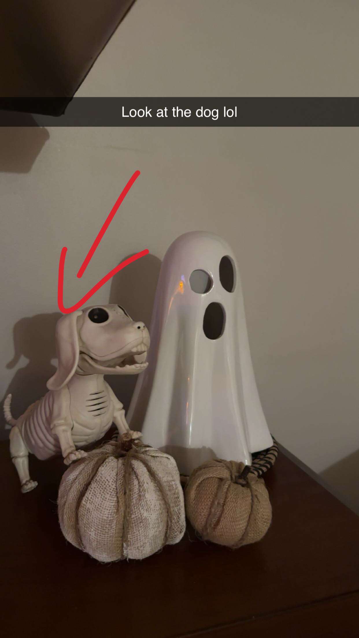 kylaayese snapchat image archive image