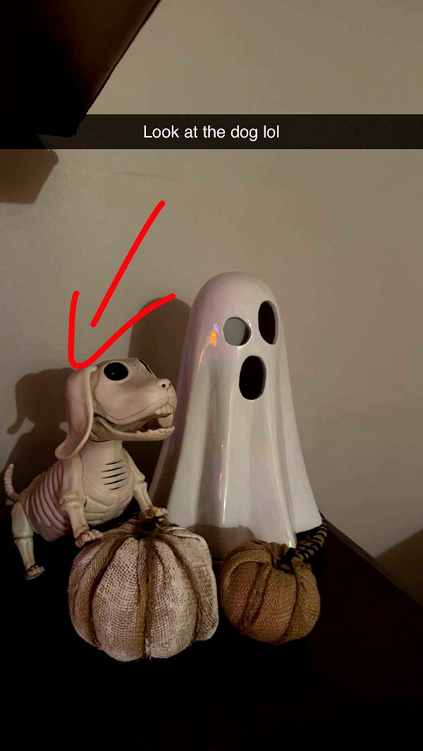 kylaayese image ~ Altpins