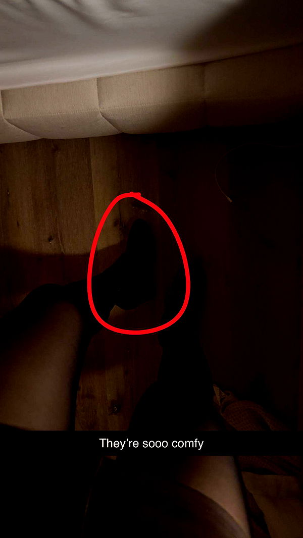 kylaayese image ~ Altpins