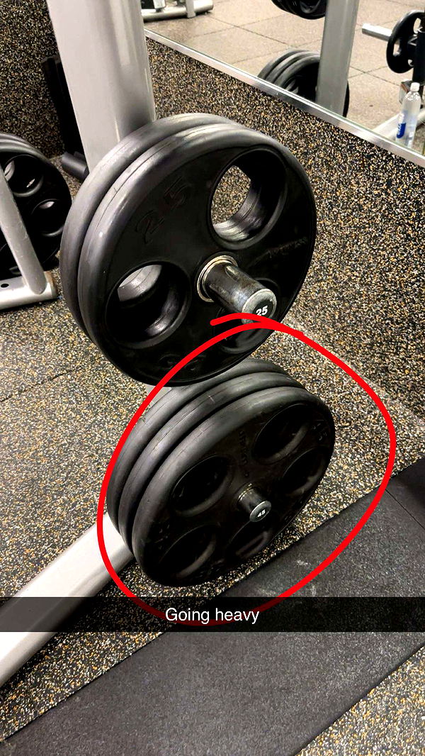 kylaayese image ~ Altpins