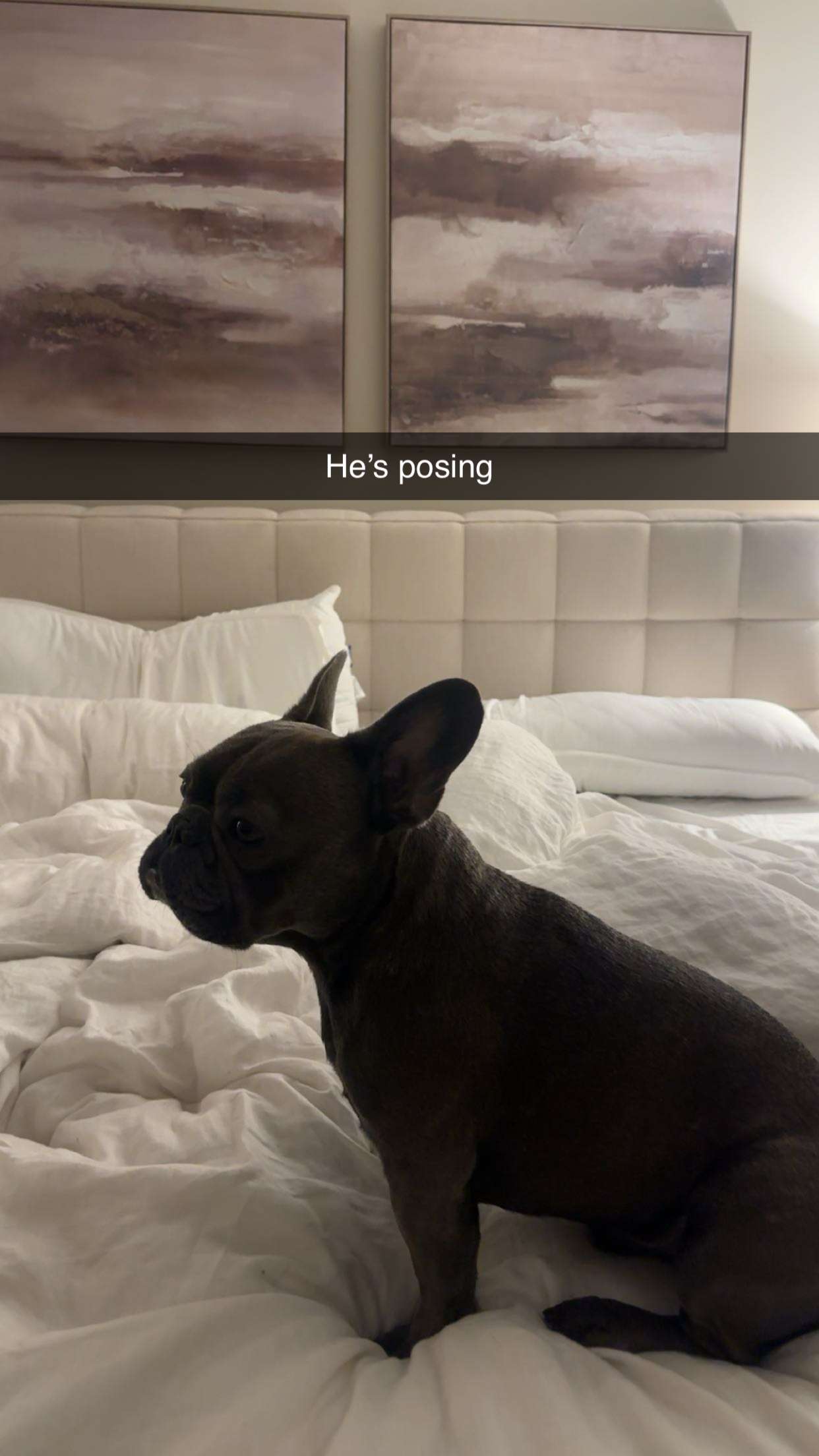 kylaayese snapchat image archive image