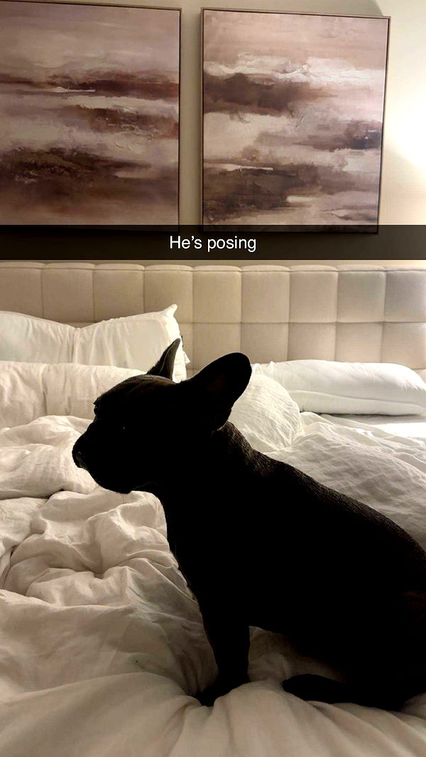 kylaayese image ~ Altpins