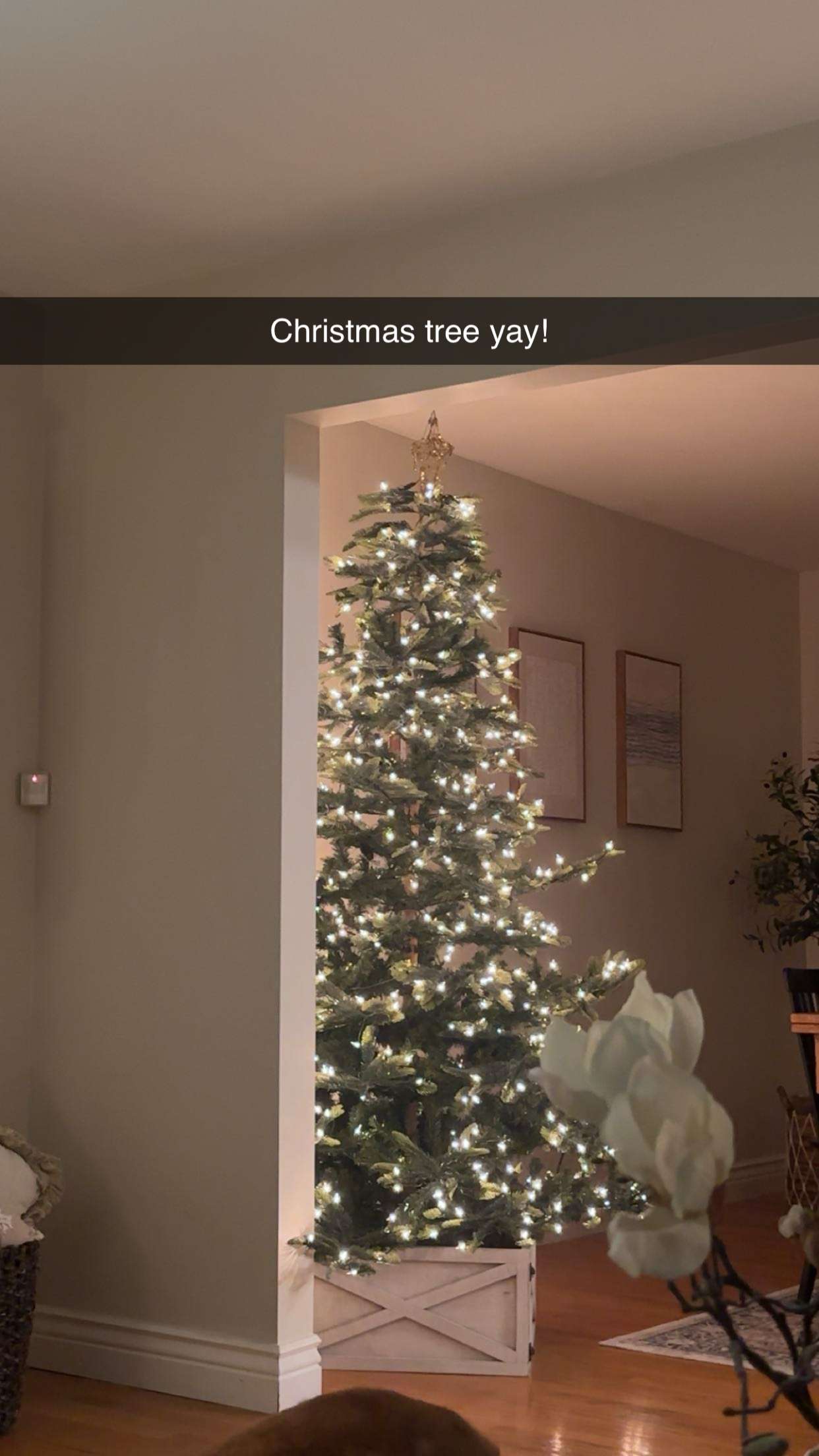 kylaayese snapchat image archive image