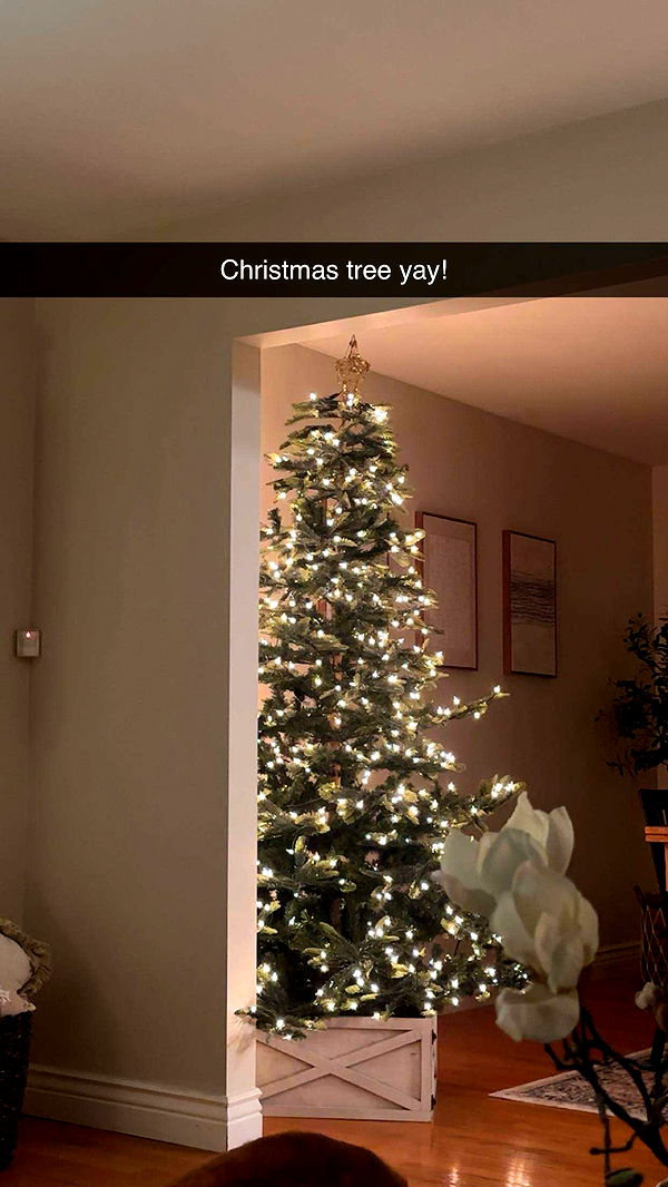 kylaayese image ~ Altpins