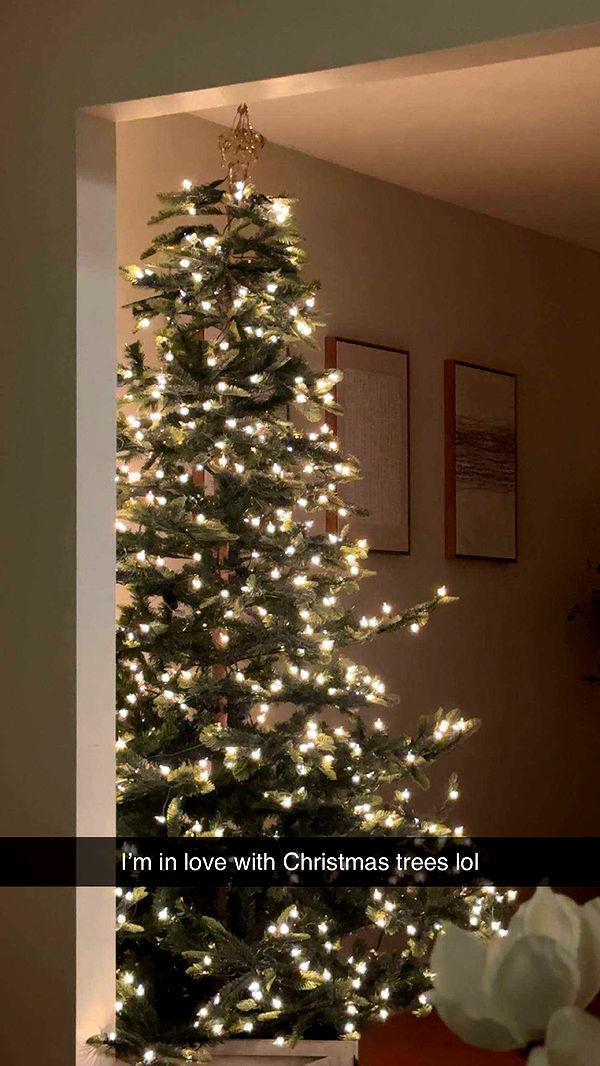 kylaayese image ~ Altpins