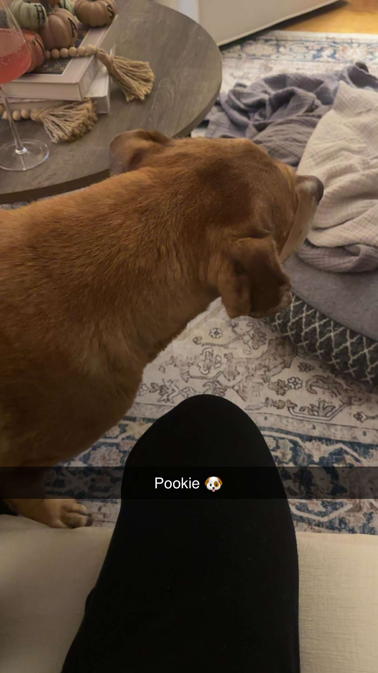 kylaayese snapchat image archive image