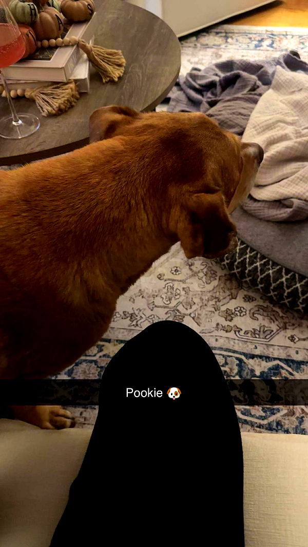 kylaayese image ~ Altpins