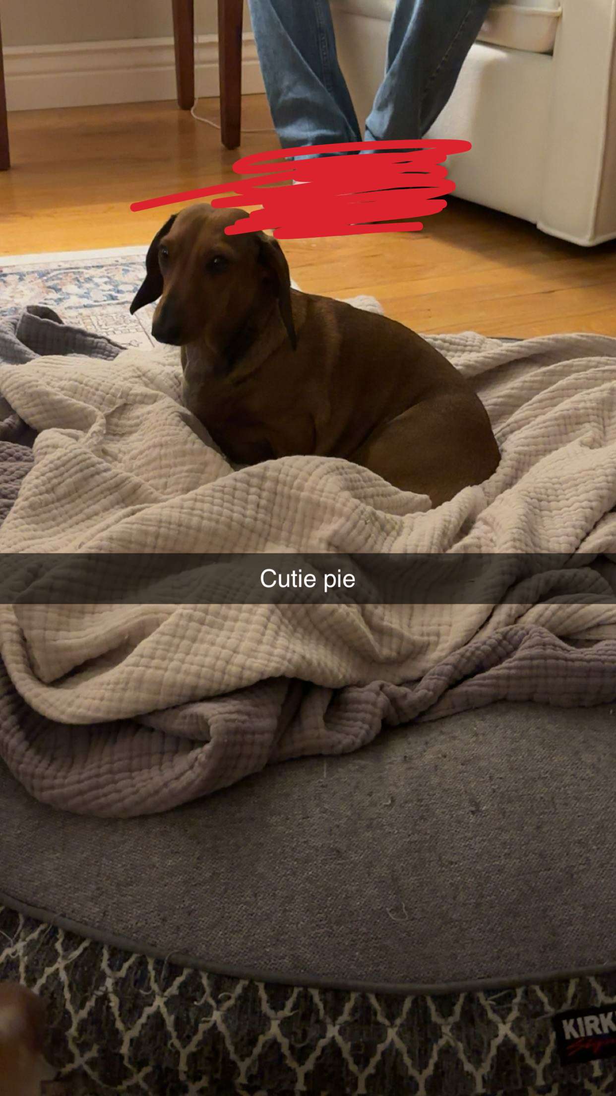 kylaayese snapchat image archive image