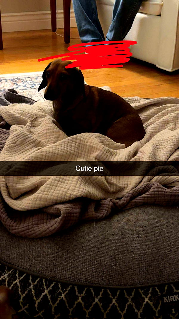 kylaayese image ~ Altpins