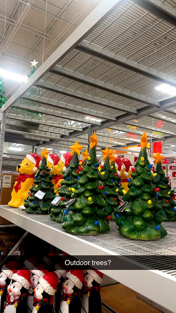 kylaayese image ~ Altpins