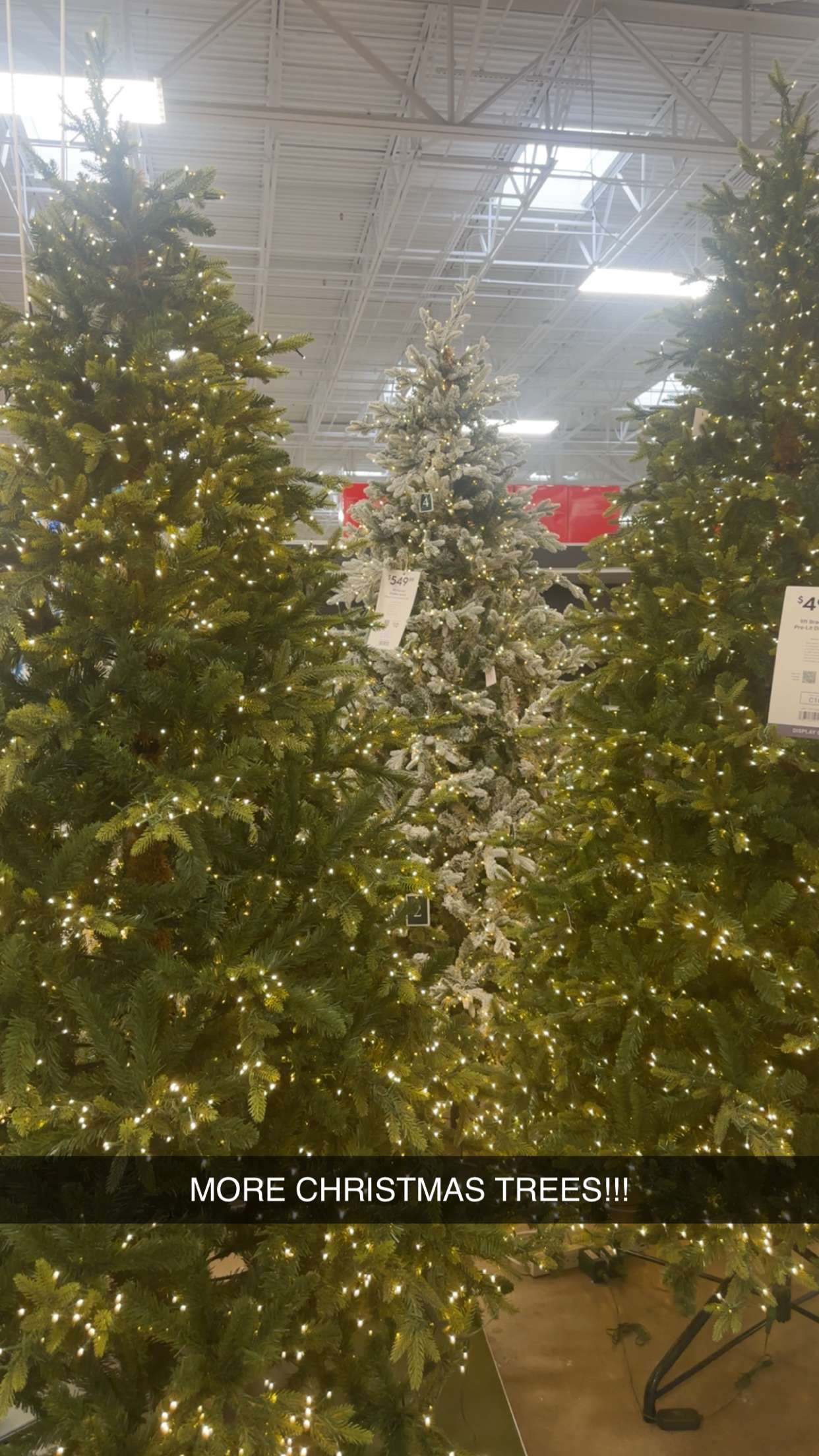 kylaayese snapchat image archive image