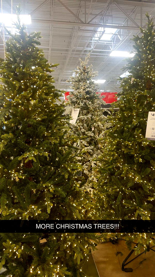 kylaayese image ~ Altpins