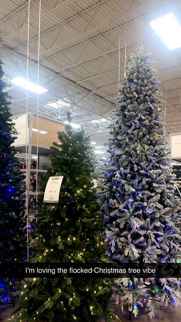 kylaayese image ~ Altpins