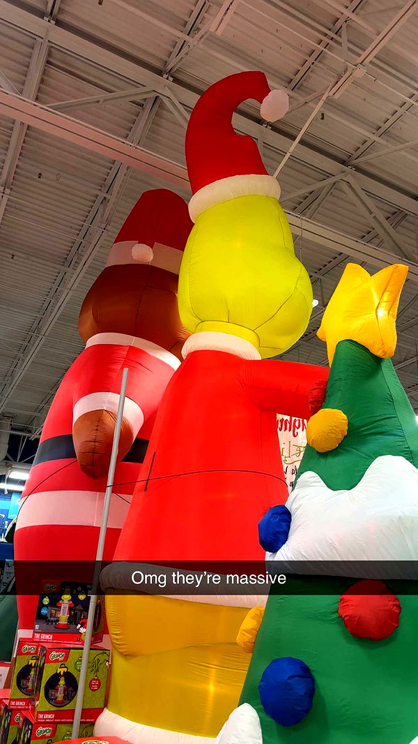 kylaayese image ~ Altpins