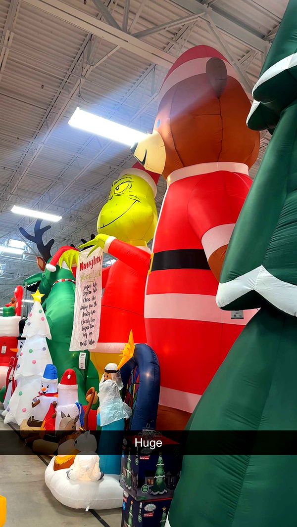 kylaayese image ~ Altpins