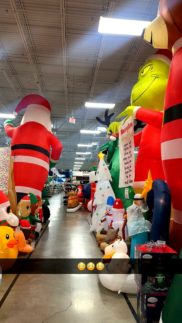 kylaayese image ~ Altpins