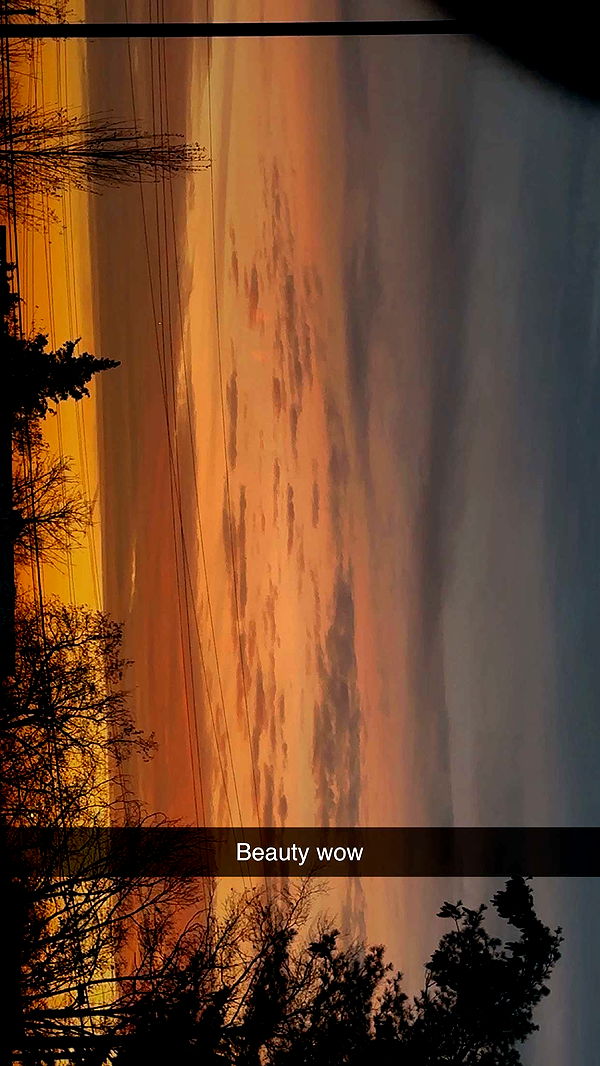 kylaayese image ~ Altpins